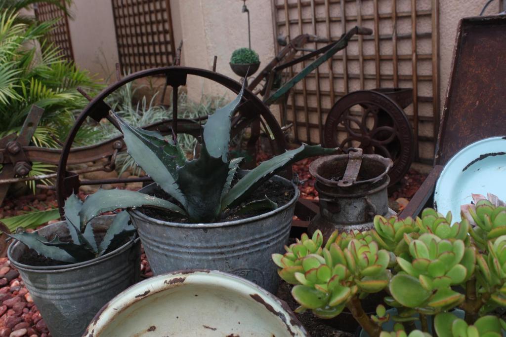 Aber Jetz Guesthouse Pongola Exterior photo